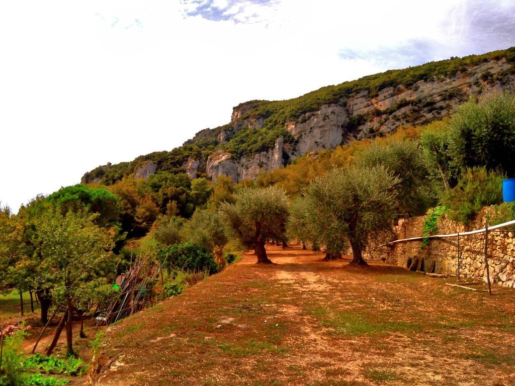 Agriturismo Ca' Magli Villa Orco Feglino Buitenkant foto